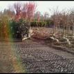 Greenhouse in Oregon