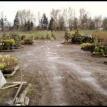 Greenhouse in Oregon